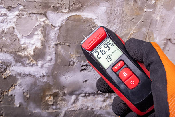 Best Fast Mold Removal  in Marble Hill, MO